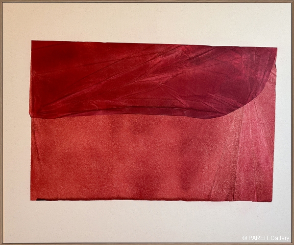 VANHULLEBUSCH Catherine - I'd capture beauty if it didn't keep moving